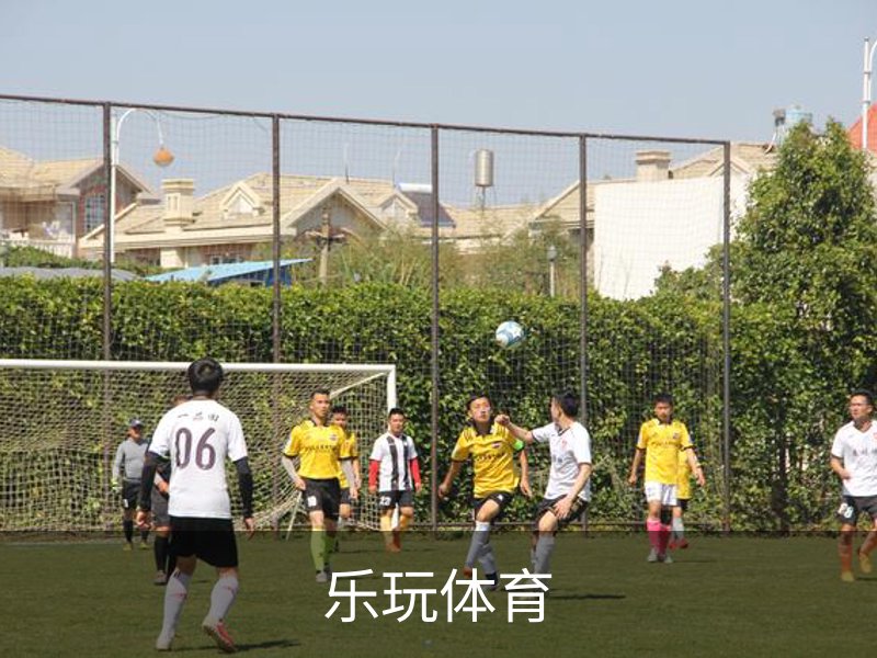 了解乐玩体育